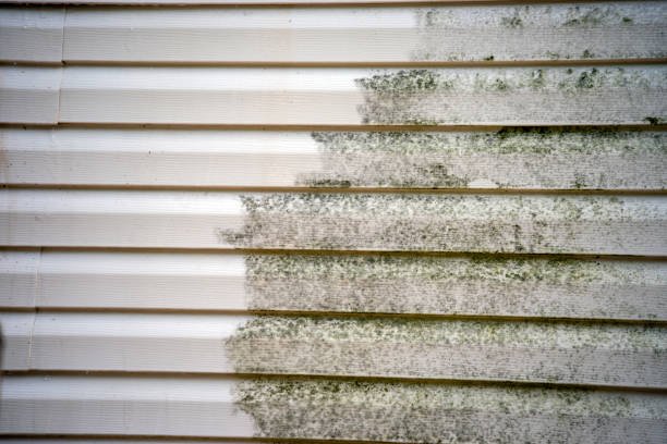 Trusted Crofton, MD Siding Installation & Repair Experts
